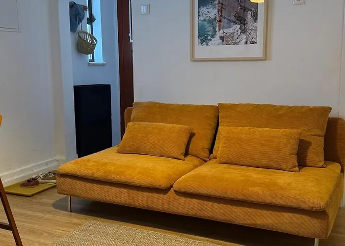 Lemon And Avocado House