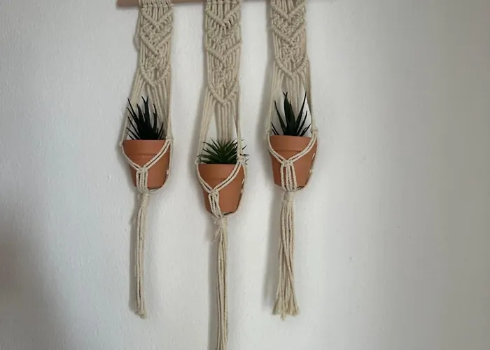 Cosy Vau